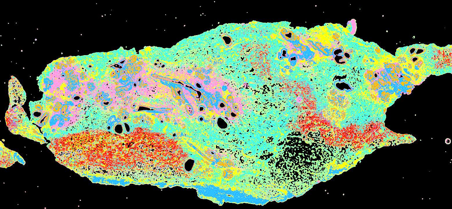 Data image