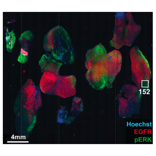 figure11.jpg